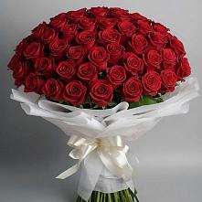 Букет 101 Красная роза Блэк Мэджик в Умбе