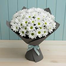 Букет цветов из:  Хризантемы в Умбе