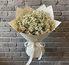 Букет цветов из:  Ромашки в Умбе
