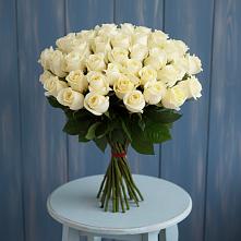 Букет 51 Белая роза Эдлесс Лав #REPLACE_PRED# Умбе