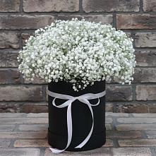 Цветочная композиция из Гипсофила в шляпной коробке в Умбе