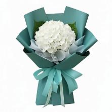 Букет цветов из:  Гортензия в Умбе